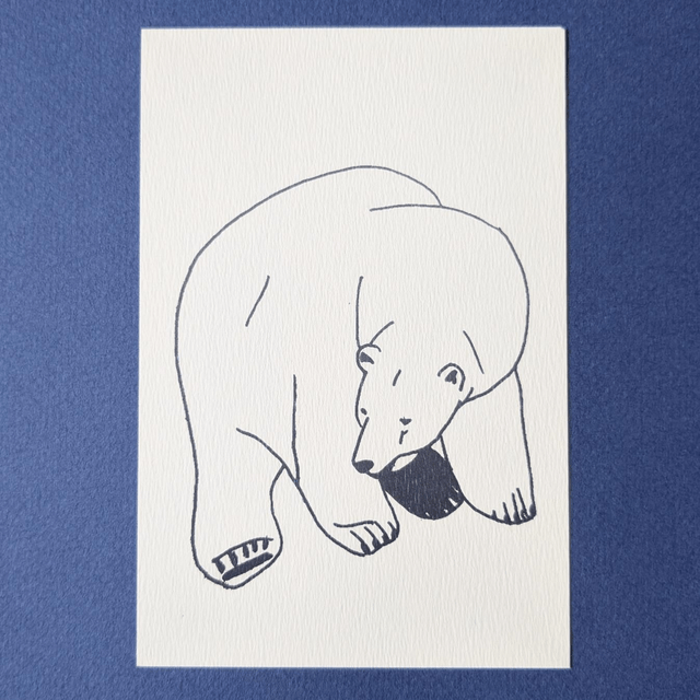 Ours polaire