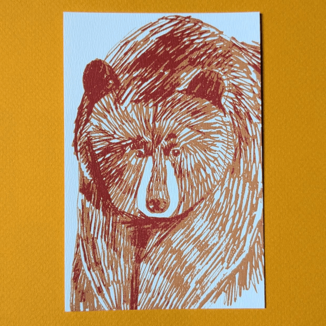 Ours brun